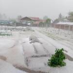 Градушка в село Българене