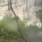 Градушка в Одърне