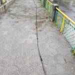 Снимка: Динко Динев