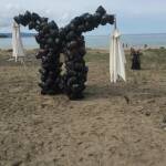 Снимка: Борис Сергинов