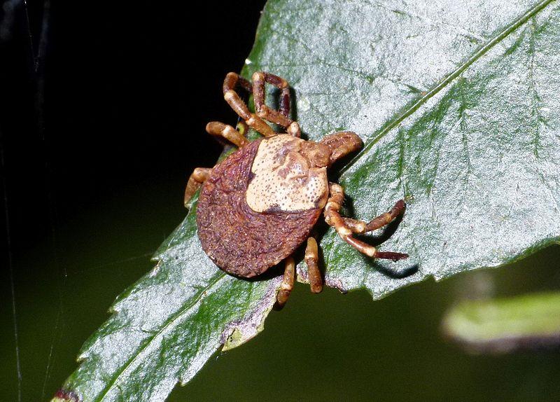 От утре при благоприятни метеорологични условия ще се извършат първите