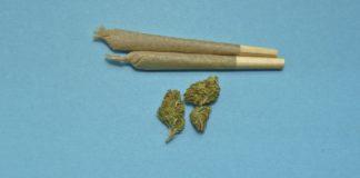 Снимката е илюстративна. Източник: Пиксабай