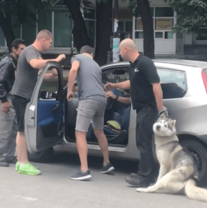 Снимка: скрийншот от видеото