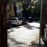 Снимка: Райна Кацарова