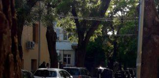 Снимка: Райна Кацарова