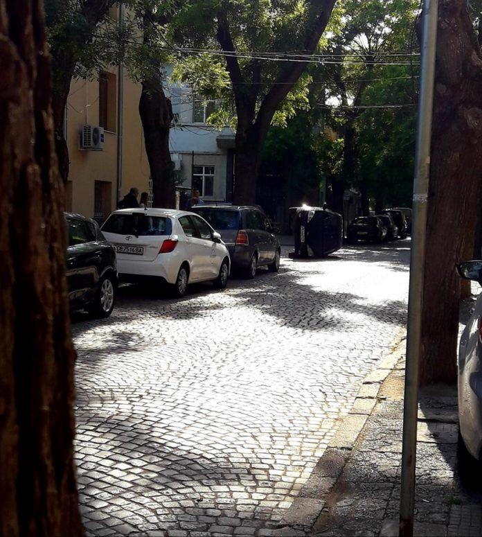 Снимка: Райна Кацарова