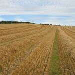 Земеделска земя