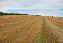 Земеделска земя