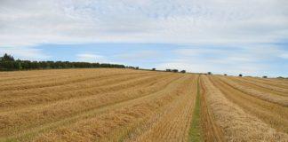 Земеделска земя