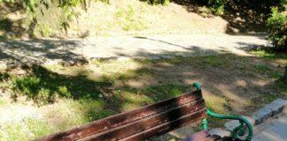 Снимка: Стоян Тиков