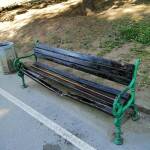 Снимка: Стоян Тиков