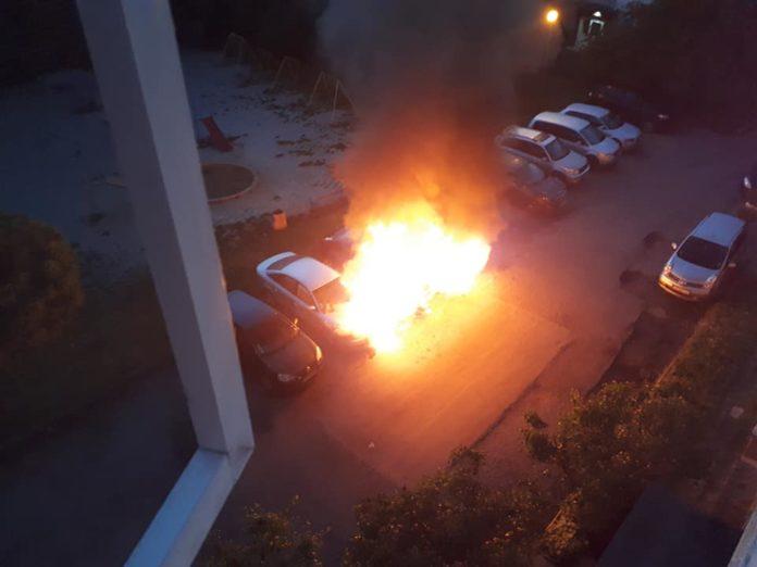 Снимка: Филип Абишахин