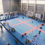 Снимка: SOFIA OPEN BJJ