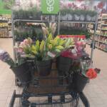 Снимка: авторът