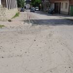 Снимка: Динко Динев