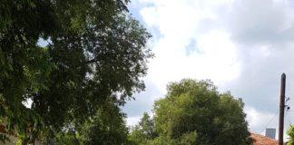 Снимка: Динко Динев