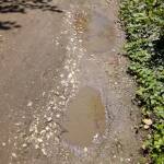 Улица "Адмирал Рождественски" в Русе