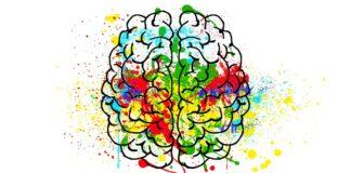 Снимка: Пиксабай