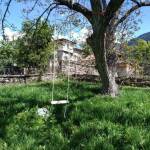 Селото. Снимки: Фейсбук групата: "Обичам Бистрица"