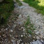 Разбита улица в Ловеч