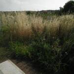 Гробищен парк