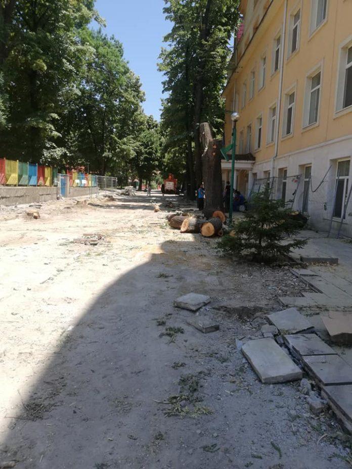 Снимка: Габриела Иванова