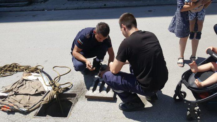 Пожарникари спасяват коте. Снимка: Фейсбук, Венци Тоневски
