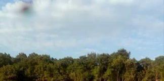 Снимка: Вили Веселинова