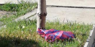 Убийство на котка с малките й