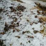 Градушка в Шумен