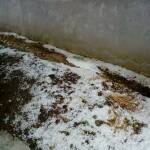 Градушка в Шумен