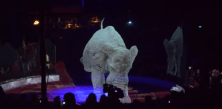 3D холограма на слон