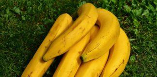 Проблеми с безплатната храна в училищата. Източник на снимката: Пиксабей