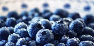 Илюстративна снимка: Пиксабей