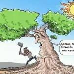 Снимка: интернет