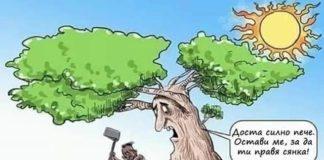 Снимка: интернет