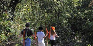 Деца в планината