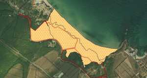 Снимка: Атанас Русев