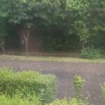 Дъжд в Пловдив. Снимка: Искра.бг