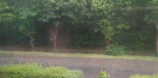 Дъжд в Пловдив. Снимка: Искра.бг