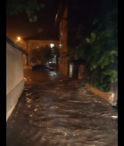 Снимка: скрийншот