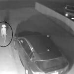 Извънземно или човек