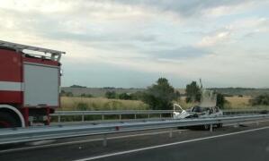 Катастрофа с биволи. Снимка: Фейсбук