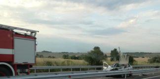 Катастрофа с биволи. Снимка: Фейсбук