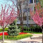 Община Костенец