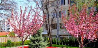 Община Костенец