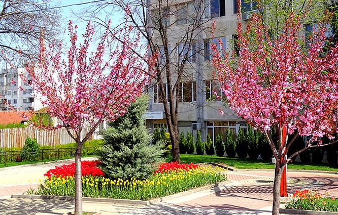 Община Костенец