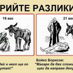 Магарето депутат