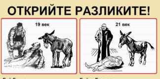 Магарето депутат