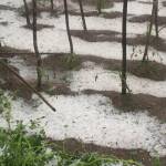 Село Змейово, Стара Загора